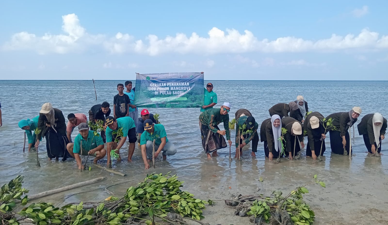 Pemdes Saobi dan Mahasiswa KKN UNIB Situbondo Tanam Pohon Mangrove